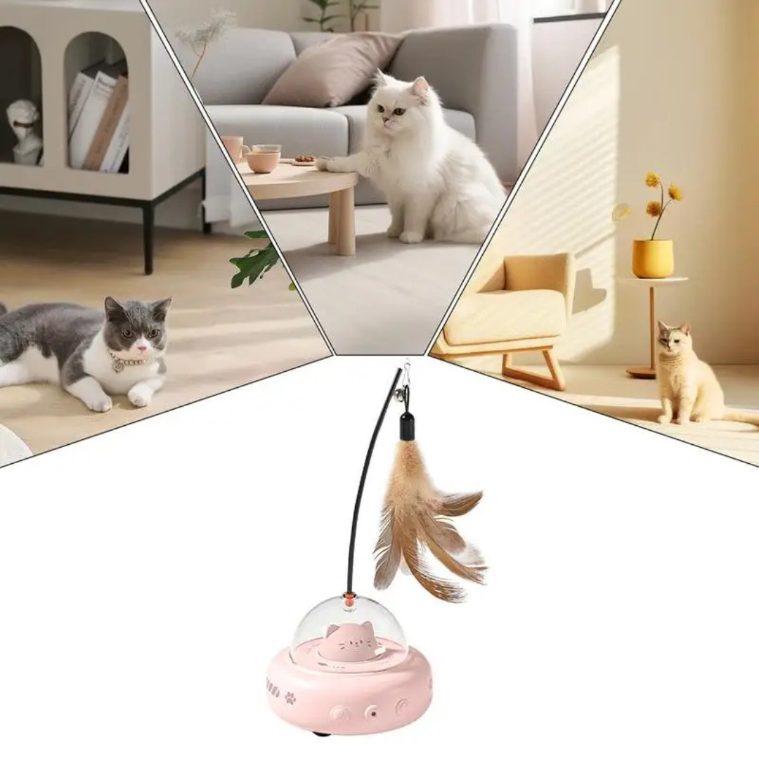 CatsFun™ | Het interactiefste kattenspeeltje