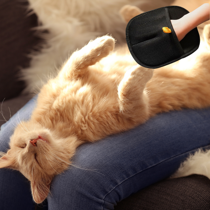 PetGlove | Perfecte oplossing tegen ongewenst haar | 1+1 GRATIS